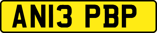AN13PBP