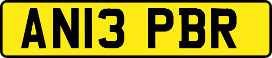 AN13PBR