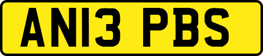 AN13PBS