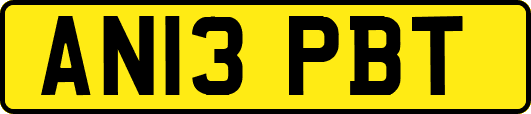 AN13PBT