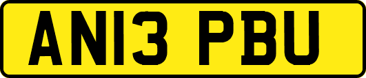 AN13PBU