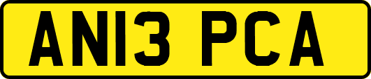 AN13PCA