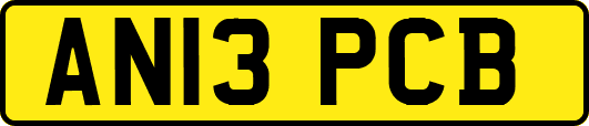 AN13PCB