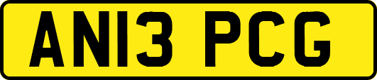 AN13PCG