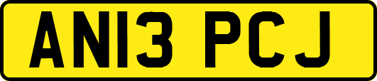 AN13PCJ