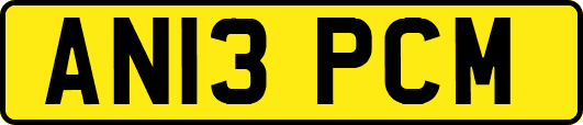 AN13PCM