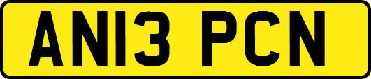 AN13PCN
