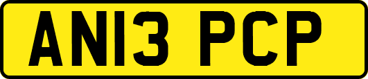 AN13PCP