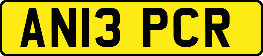 AN13PCR