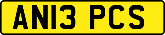 AN13PCS