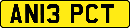 AN13PCT