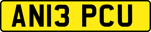 AN13PCU