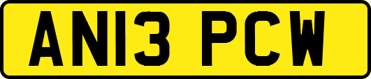 AN13PCW