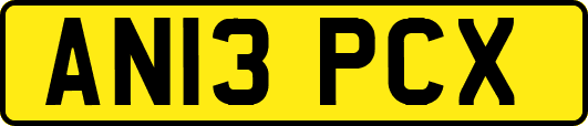 AN13PCX