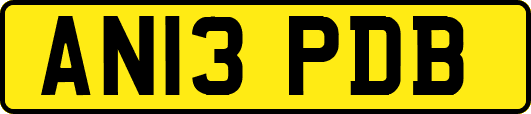 AN13PDB