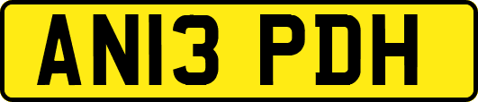 AN13PDH