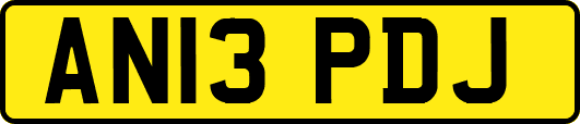 AN13PDJ