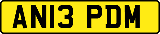 AN13PDM