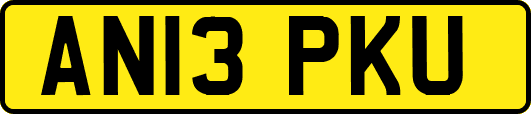 AN13PKU