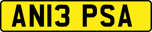 AN13PSA