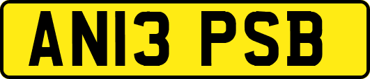 AN13PSB