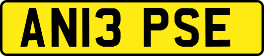 AN13PSE