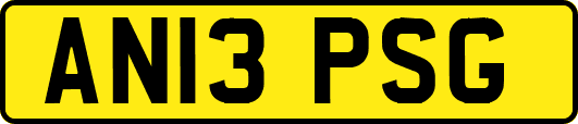 AN13PSG