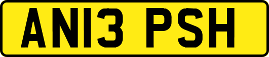 AN13PSH