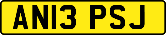 AN13PSJ