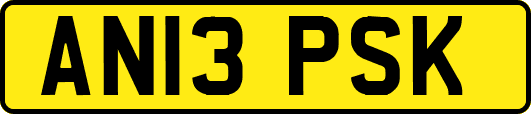 AN13PSK