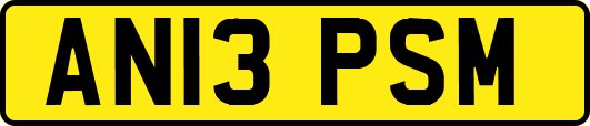 AN13PSM