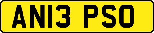AN13PSO