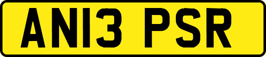 AN13PSR