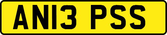 AN13PSS