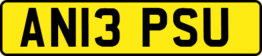 AN13PSU