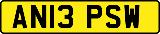 AN13PSW