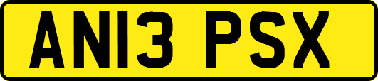 AN13PSX