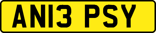 AN13PSY