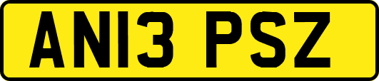 AN13PSZ