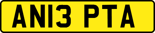 AN13PTA