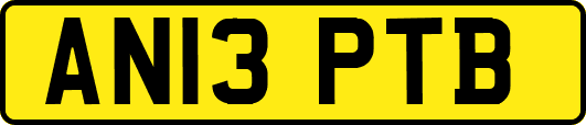 AN13PTB