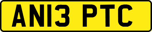 AN13PTC