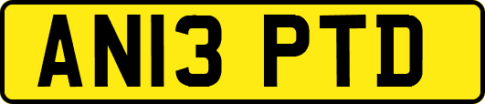 AN13PTD