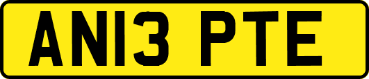 AN13PTE