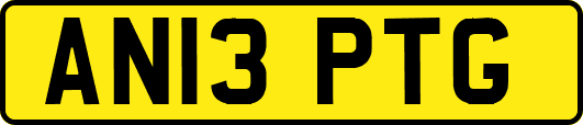 AN13PTG