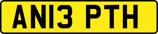 AN13PTH