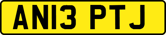 AN13PTJ