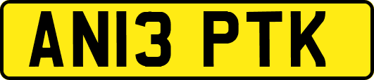 AN13PTK