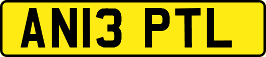 AN13PTL