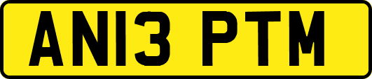 AN13PTM